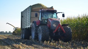 Mais oogst van start in Noordoost Friesland