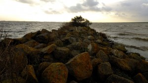 Wetterskip: dijkbewaking bij Ternaard