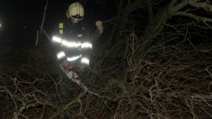 Stormschade tussen Lioessens en Anjum