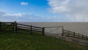 Veel bekijks op pier in Holwerd