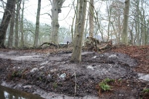 Baggeren rondom Fogelsanghstate te Veenklooster