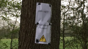 Buizerd valt mensen aan bij De Triemen