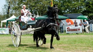 Concours Hippique Drogeham afgelast vanwege slechte weer