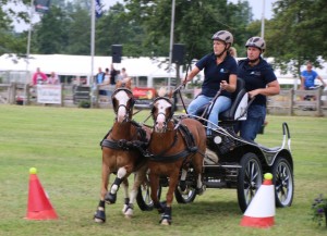 VIDEO: Paardenmarathon ’n prachtig spektakel