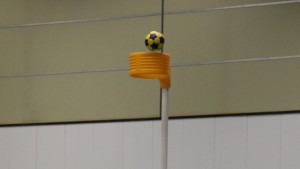 Flamingo’s blijft ongeslagen