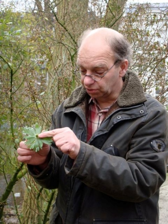 Cursus evolutie van planten bij botanische tuin De Kruidhof RTV NOF Nieuws