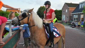 Ringsteken in het karakteristieke Driezum