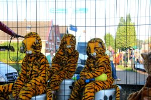 VIDEO: Zomerse temperaturen bij optocht Kollumerzwaag/Veenklooster - RTV NOF