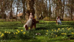 Open dag Zorgboerderij Buitengewoon