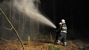 Natuurbrandrisico in Fryslân opgeschaald naar 'Fase 2 - Extra Alert' - RTV NOF