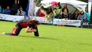 Wereldkampioenschap Dogfrisbee Houtigehage