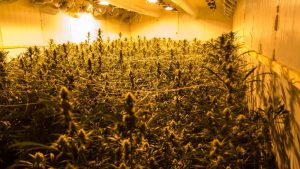 Drugspand in Oentsjerk gesloten op last van burgemeester