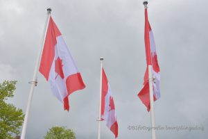 Morra en Lioessens herdenken 4 mei op een andere manier