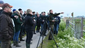 AUDIO: Vogelspotters massaal naar Waddenkust voor de velduil
