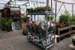 Oudere inwoners Triemen verrast met bloemen