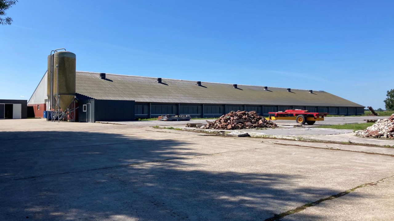 VIDEO: Nieuwe plannen na verwoestende brand in kippenstal in Niawier