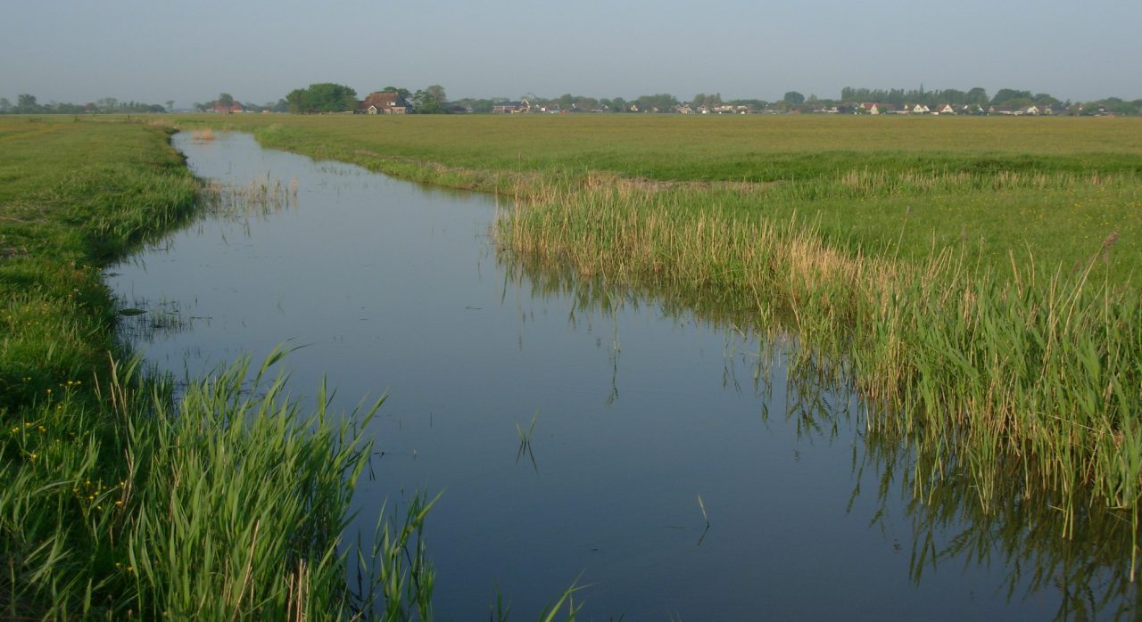 Oprichting Stichting de Noordelijke woudroute