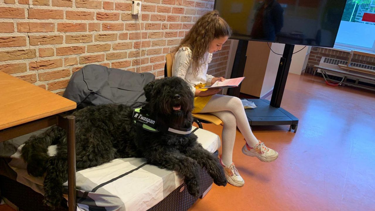 VIDEO: Schoolhond ‘Yarah’ helpt bij lezen