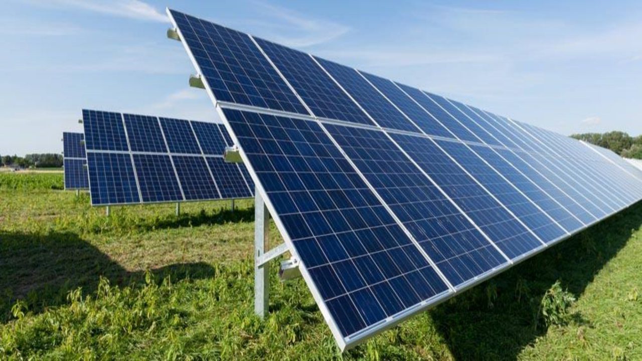 VIDEO: Zonnepark met ruimte voor 7000 panelen in de Triemen; dorpsbewoners in verzet