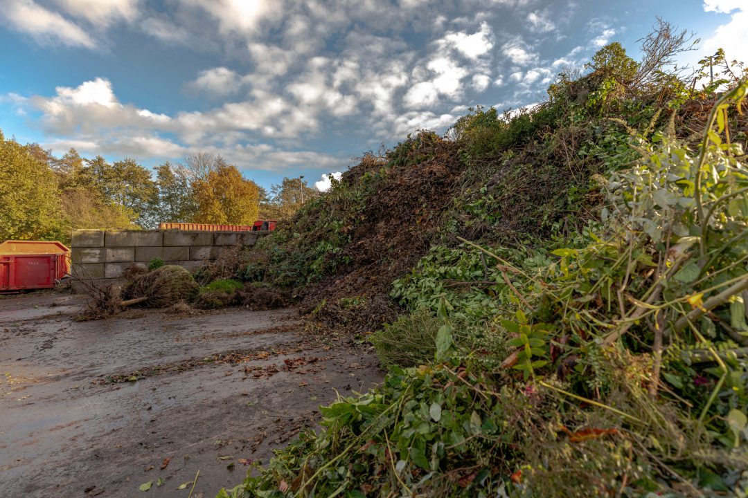INGEZONDEN: Dantumadiel kan niet achterblijven: CDA wil snelle overgangsregeling snoeihout