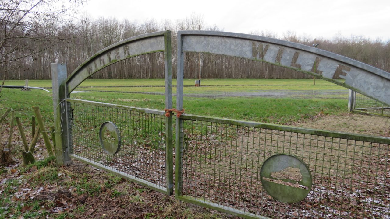 VIDEO: Ysklub Winterwille Kollumersweach zet ijsbaan onder water