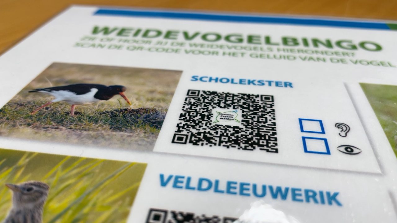 VIDEO: Noardlike Fryske Wâlden presenteert ‘rondje weidevogels’