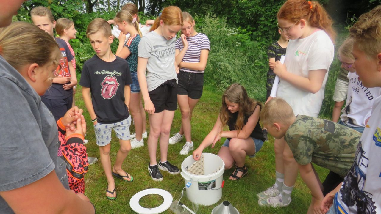 Wat vliegt er ’s nachts in jouw tuin?