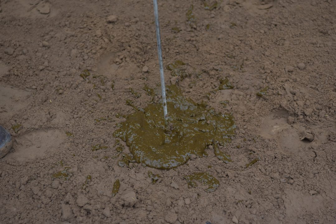 VIDEO: Winnaars Nijjiers Skiterij 2021