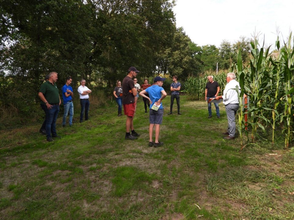 Achtste editie maïsdemo in Twijzel