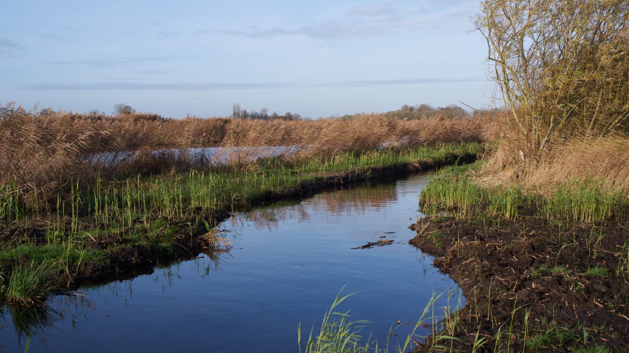 VIDEO: Geschil over natuurvriendelijke oever bij Eastermar