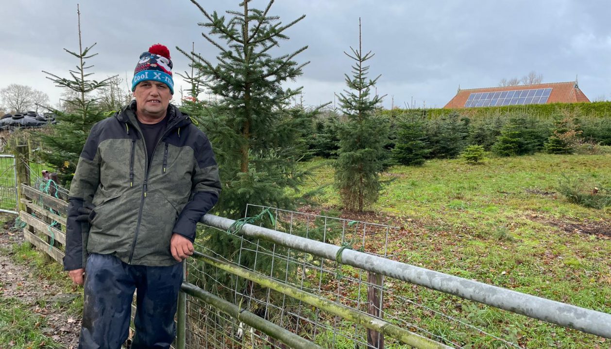 VIDEO: Kerstbomen nog eerder in huis dit jaar