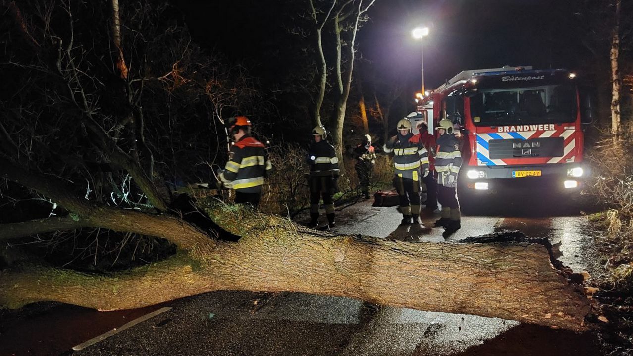 VIDEO: Dikke eik ‘dwarsboomt’ doorgaande weg bij Twijzel