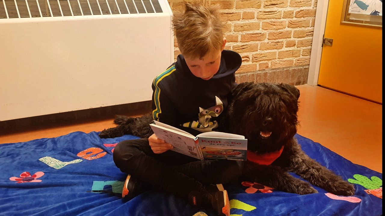 Schoolhond Yarah leert (ook) nog steeds door