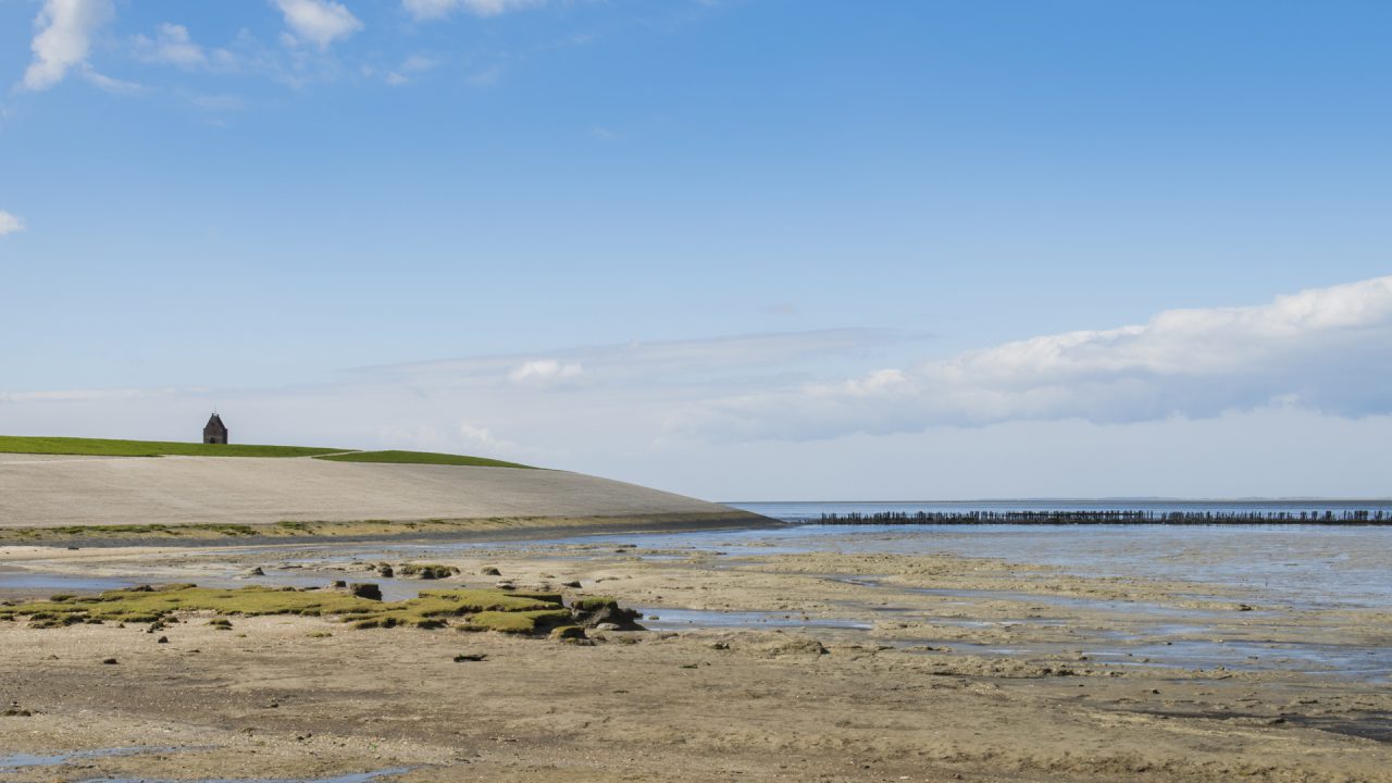 Inwoners Wierum starten actie voor behoud kwelder