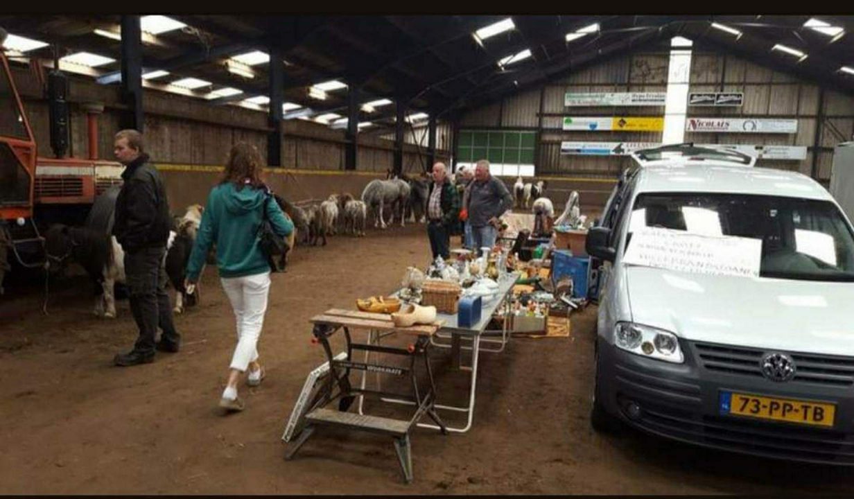 Paarden- en ponymarkt met rommelmarkt