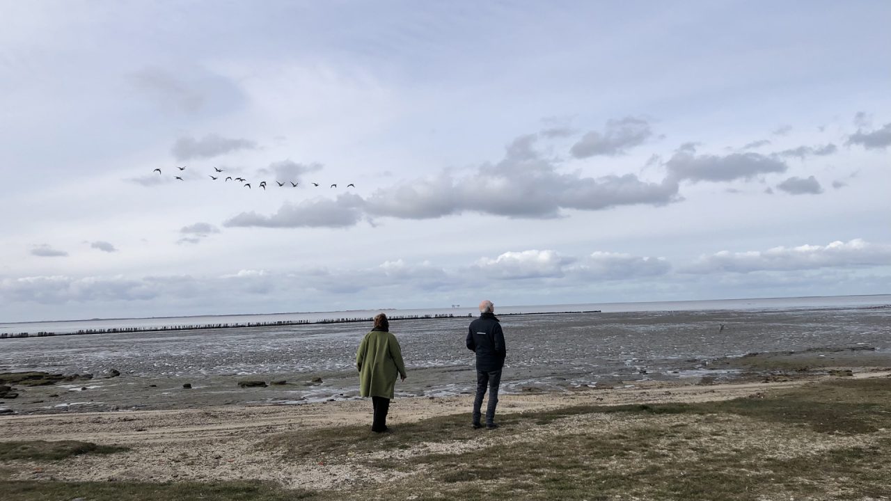 INGEZONDEN: Red de kwelder voor vogels en mensen