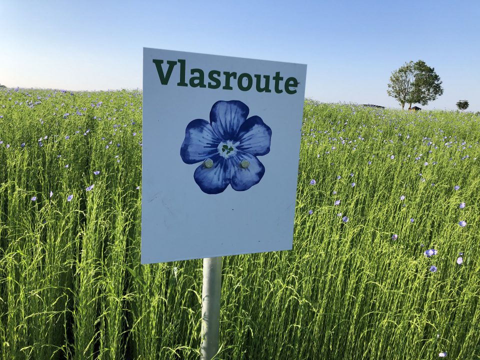 Vlasroute van start met speciale vlasdagen en activiteiten