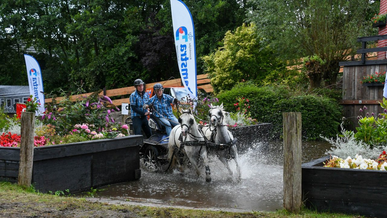 VIDEO: Paardendagen in Driezum-Wâlterswâld: “Dit is wêr’t wy it foar dogge”
