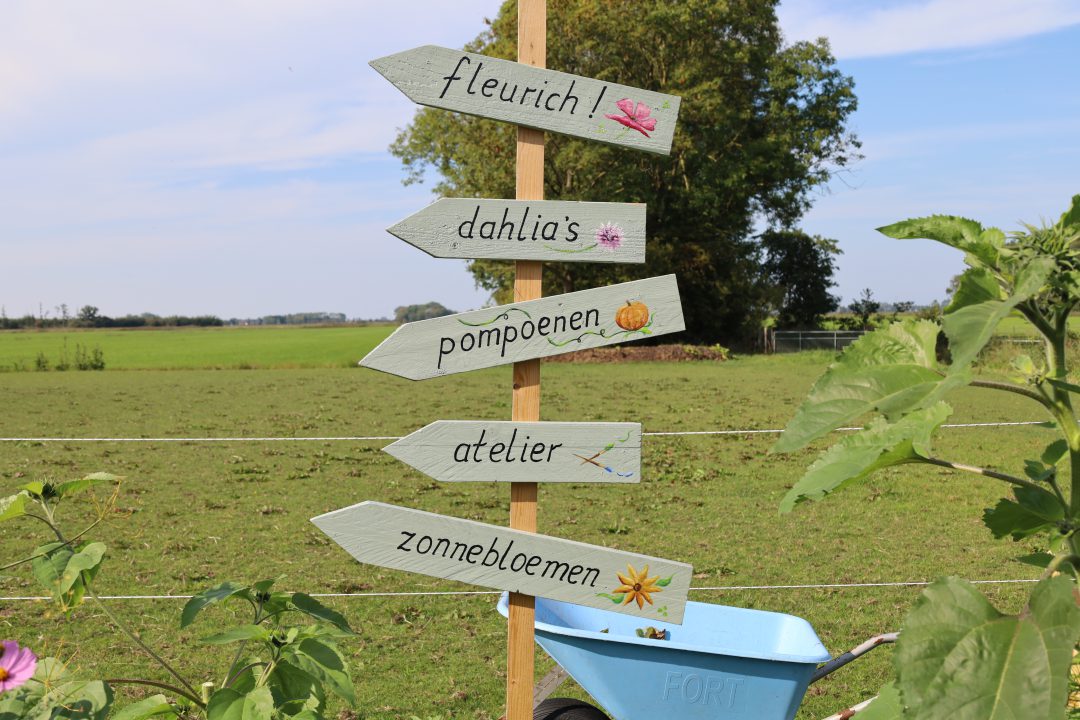 Ontdek de bloemenpracht bij pluktuin 