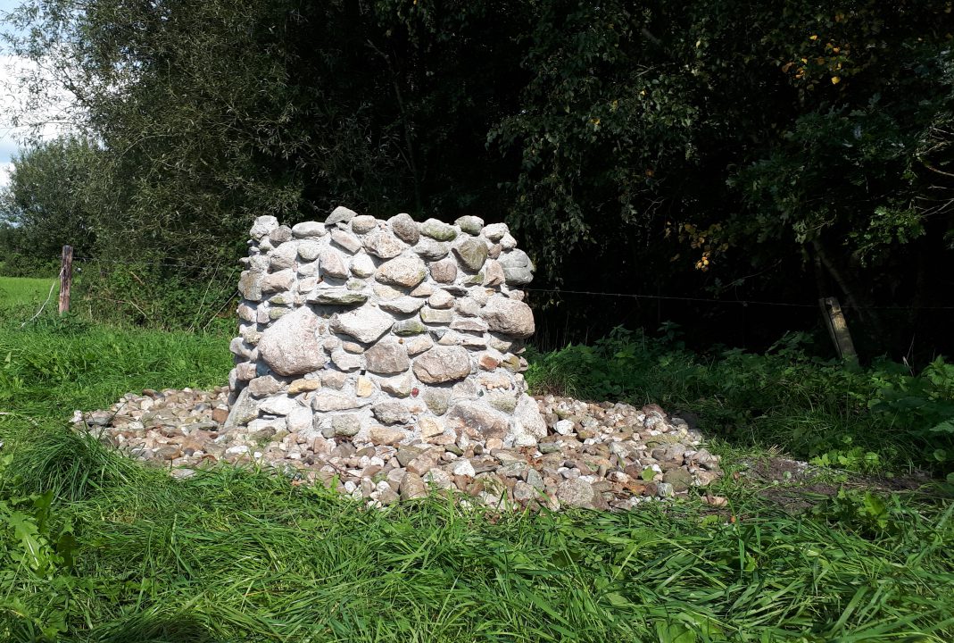 Oer-Wensbosje met Wensput aan het Wyldpaed