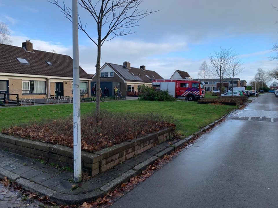 Brandweer verwijdert omgewaaide boom na storm in Twijzelerheide