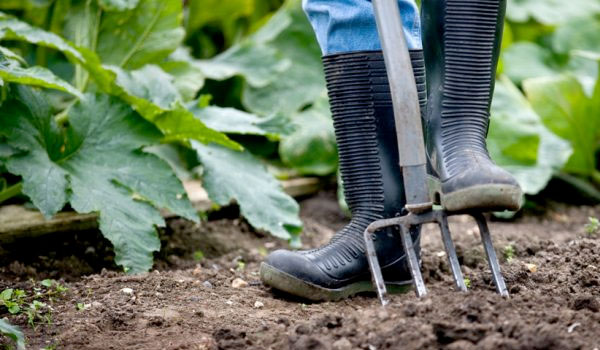 Gebiedsfonds FPLG biedt kansen voor ecosysteemdiensten en maatschappelijke opgaven