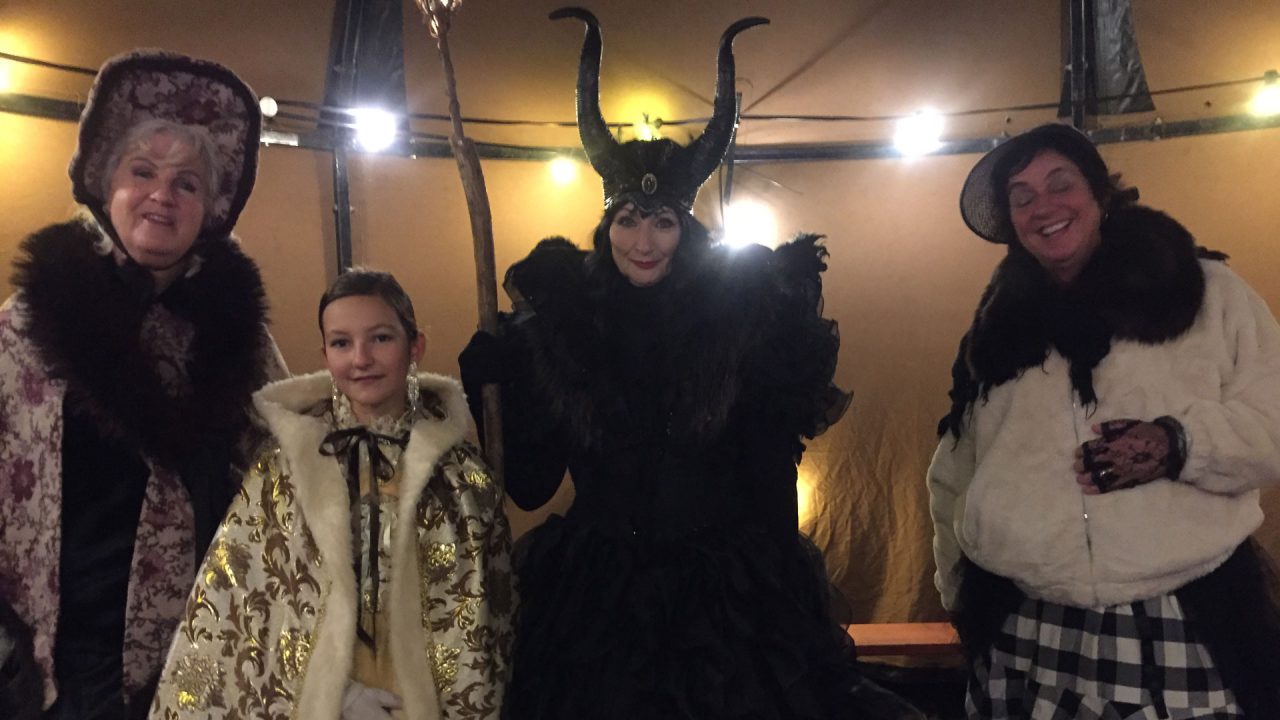 VIDEO: Sprookjesachtige winterfair in park Tytsjerk