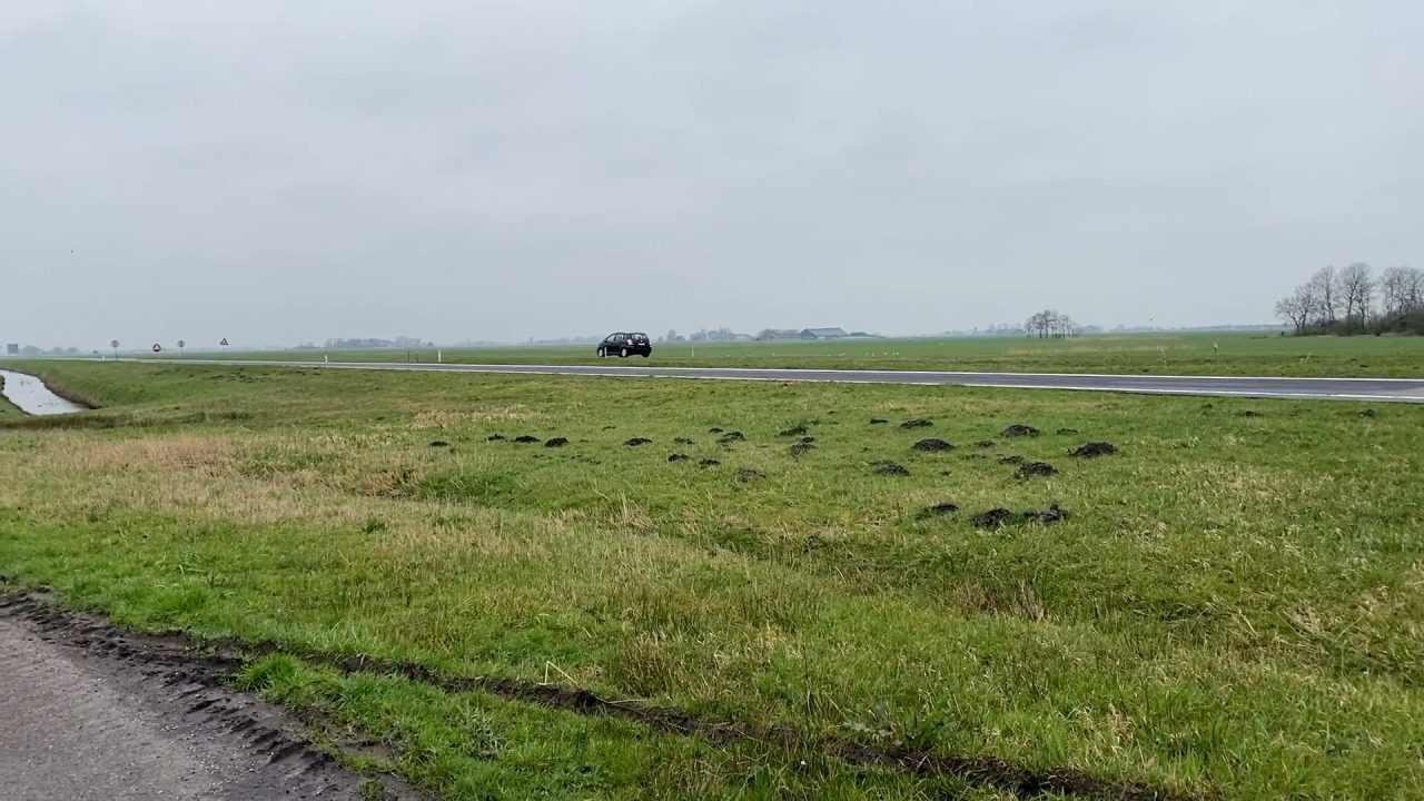 VIDEO: Onduidelijkheid over snelheidsverlaging Lauwersseewei zorgt voor vragen in Provinciale Staten
