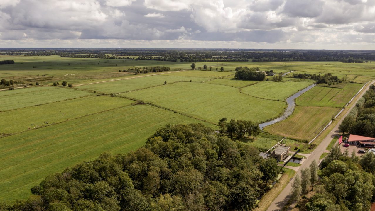 Meer natuur in polder Siderius bij Earnewâld