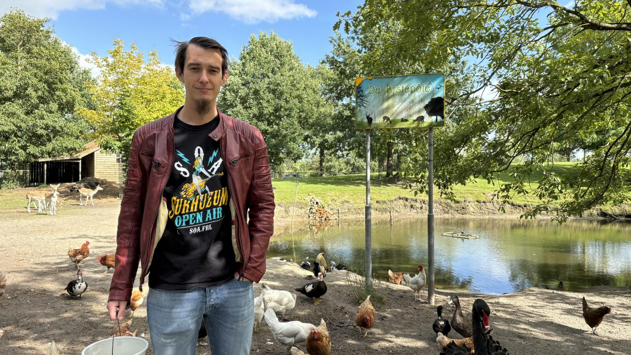 VIDEO: Hertenkamp in Surhuizum dreigt te sluiten zonder nieuwe vrijwilligers: 