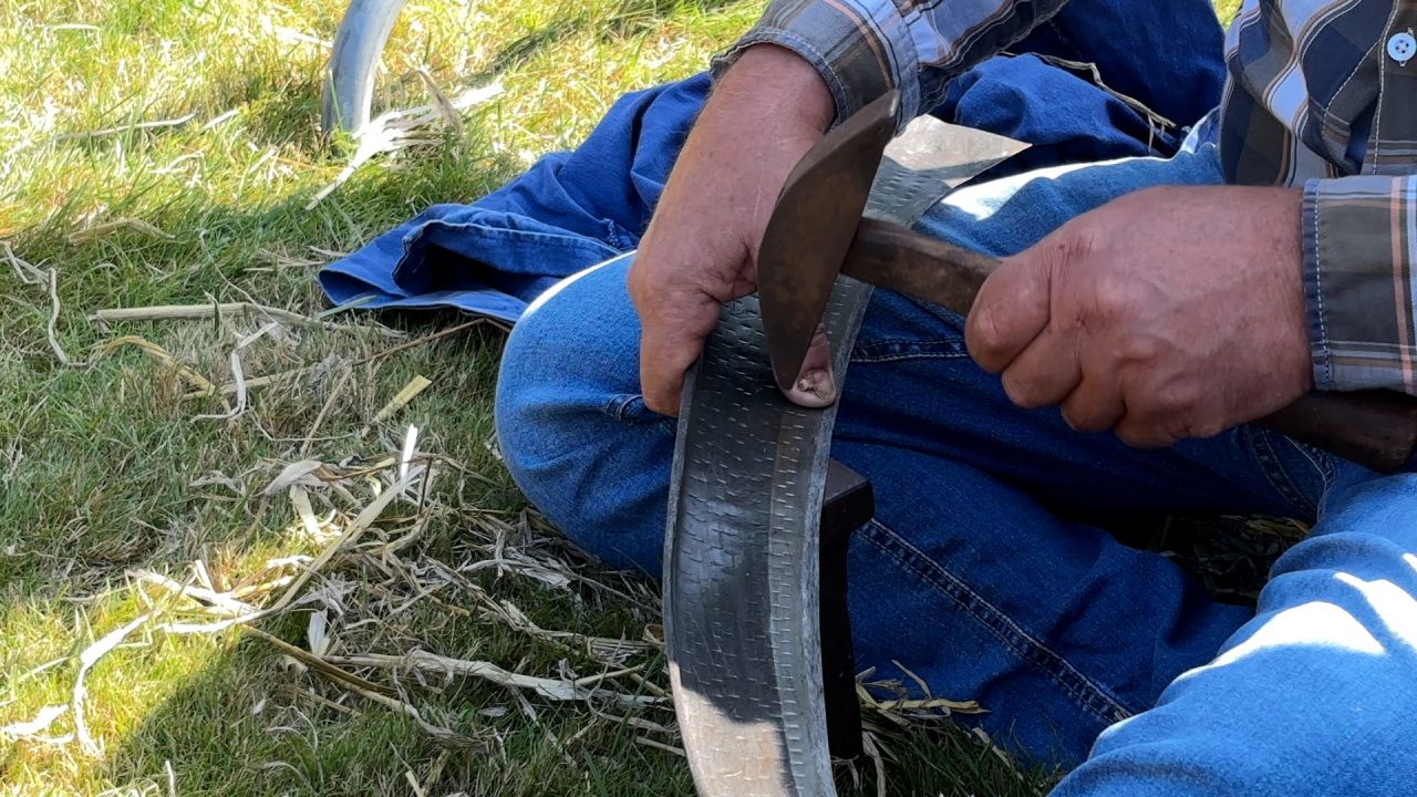 VIDEO: Het WK Seineharjen by de Spulwike in Surhuizum: 