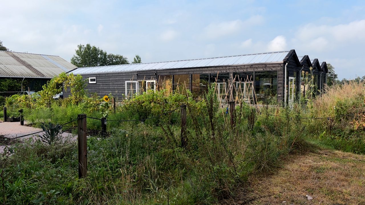 VIDEO: Drie Friese restaurants genomineerd voor prestigieuze Entree Awards