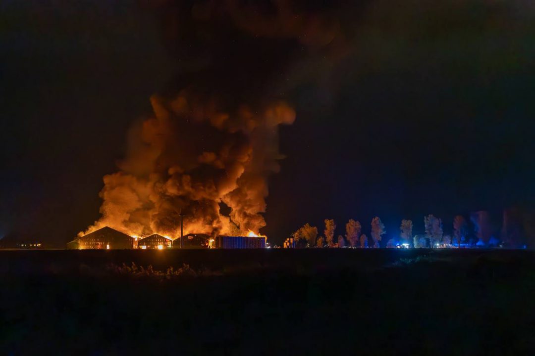 VIDEO: Vuurzee legt drie loodsen in Ternaard in de as: 