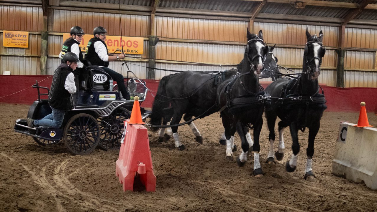 VIDEO: Paarden Sport Vereniging Trynwâlden organiseert winter minimarathon